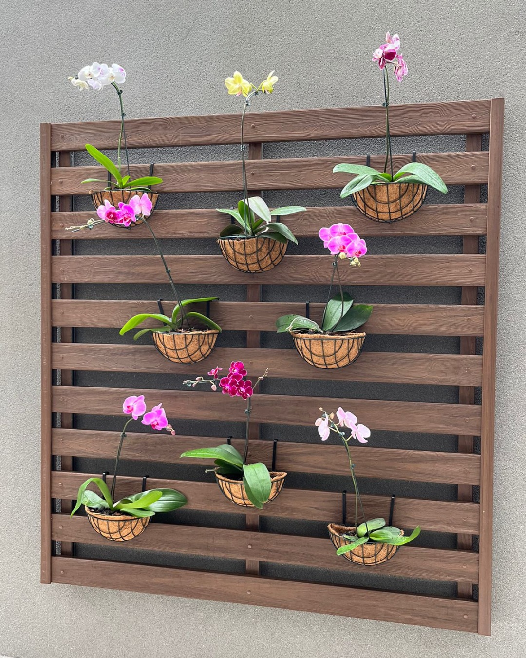 Personalização sem limites!
Projetos de alto padrão pedem soluções à altura.

Com a Star Deck, cada detalhe é personalizável: cores, formatos, aplicações e acabamentos que se adaptam ao seu conceito arquitetônico.
A madeira plástica garante durabilidade, resistência às intempéries, baixa manutenção e estética premium — tudo isso com instalação especializada e total segurança.

👉 Descubra as possibilidades no nosso site: www.stardeck.com.br

#StarDeck #ProjetosAltoPadrao #MadeiraPlastica #Arquitetura #DesignPersonalizado #Durabilidade #InstalacaoEspecializada